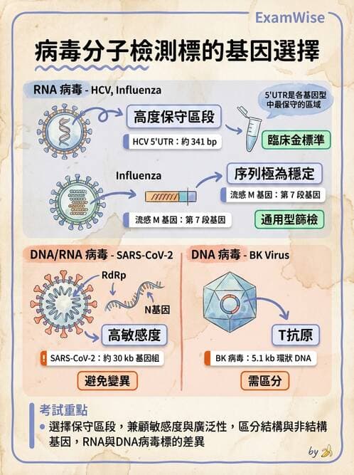 醫檢師 - 感染症分子檢驗 - AI 圖文解析預覽