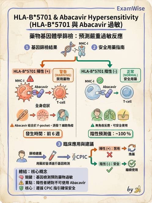 醫檢師 - 藥物相關基因檢測 - AI 圖文解析預覽