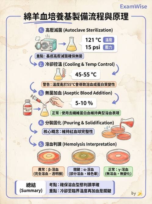 醫檢師 - 檢驗基礎技術 - AI 圖文解析預覽