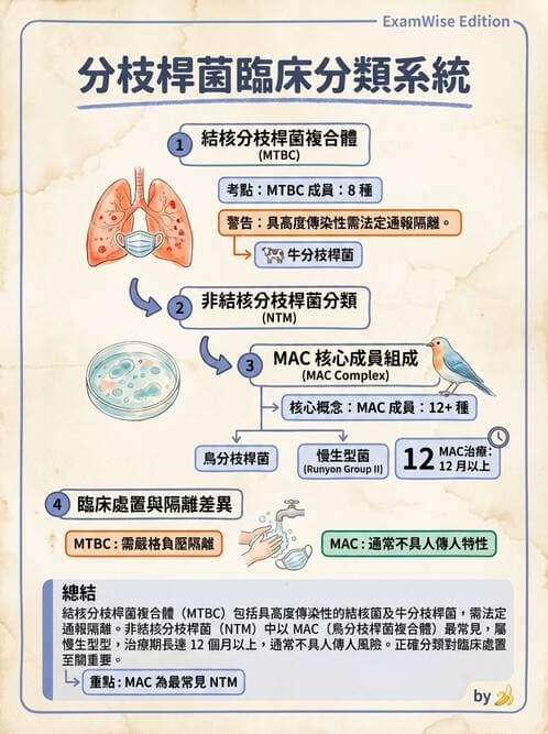 醫檢師 - 分枝桿菌 - AI 圖文解析預覽