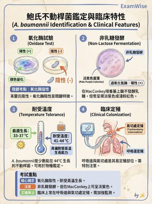 醫檢師 - 非發酵菌 - AI 圖文解析預覽