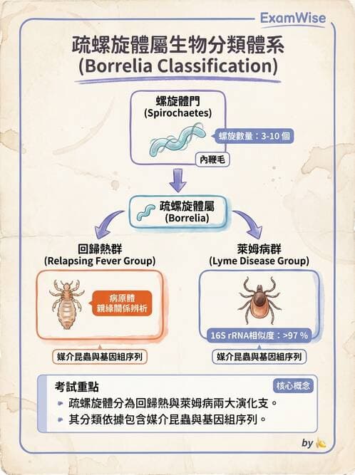 醫檢師 - 特殊病原體 - AI 圖文解析預覽