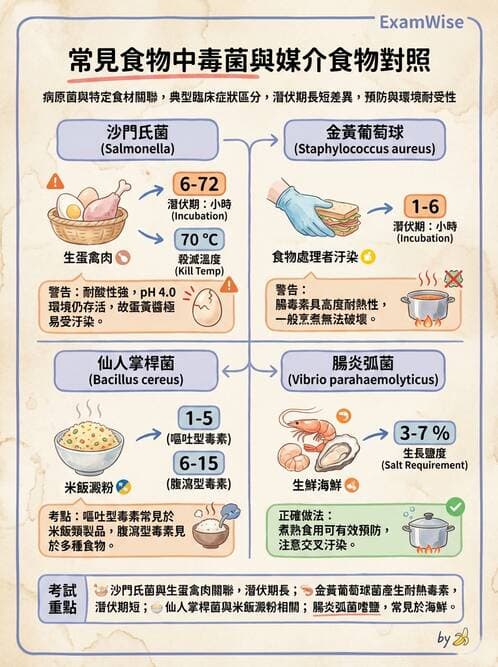 醫檢師 - 感染症與院內感染 - AI 圖文解析預覽