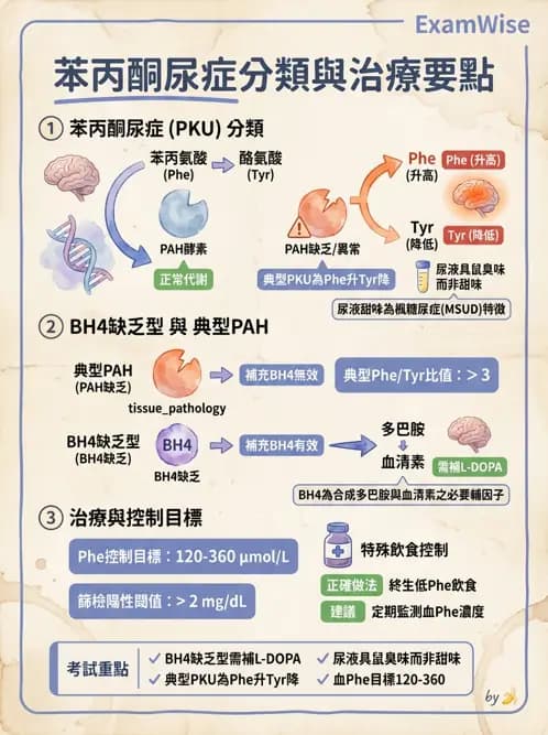 醫檢師 - 胺基酸代謝與先天性疾病 - AI 圖文解析預覽