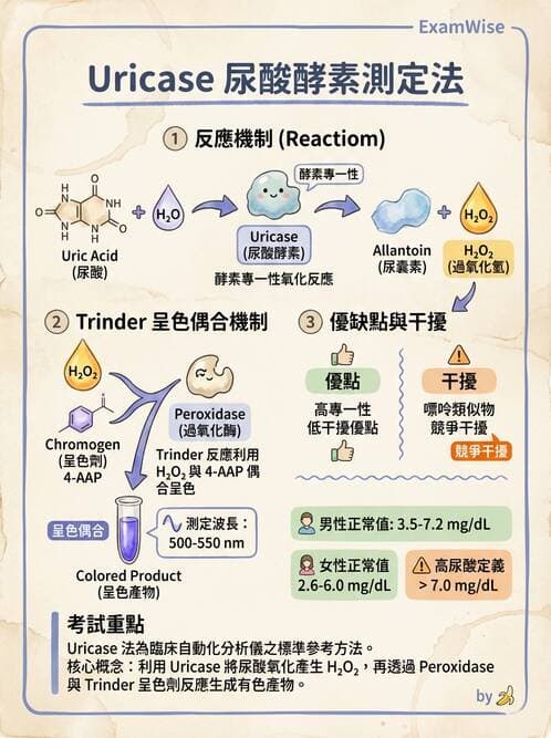 醫檢師 - 腎臟機能與代謝評估 - AI 圖文解析預覽