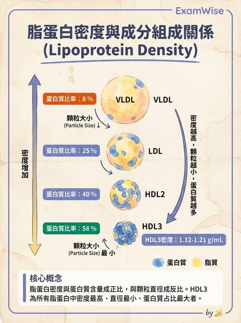醫檢師 - 脂蛋白分類與臨床應用 - AI 圖文解析預覽