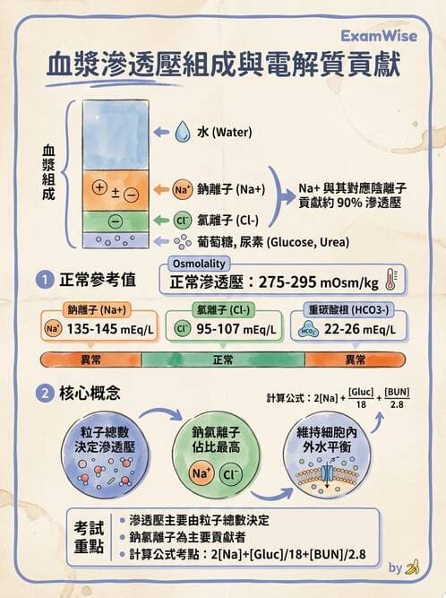 醫檢師 - 電解質與微量元素 - AI 圖文解析預覽