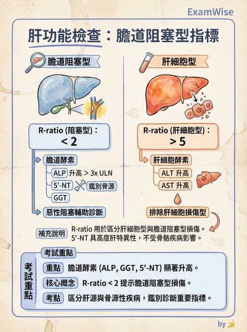醫檢師 - 肝臟機能與胰臟酵素 - AI 圖文解析預覽