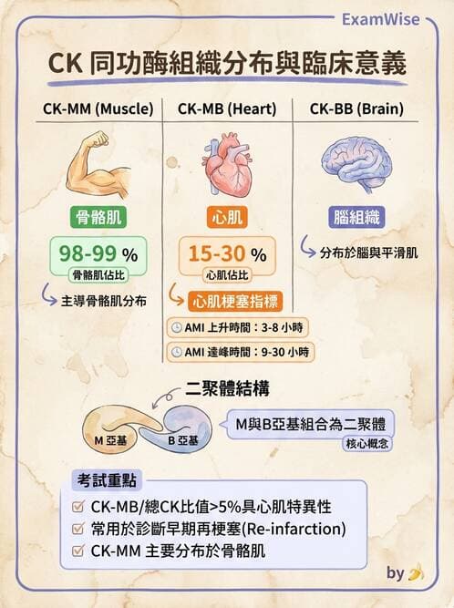 醫檢師 - 心肌標誌與心臟診斷 - AI 圖文解析預覽