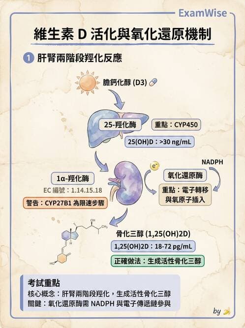 醫檢師 - 維生素 - AI 圖文解析預覽