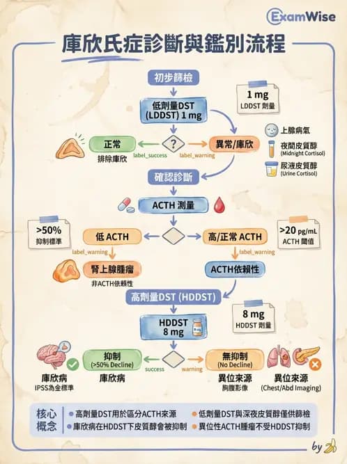 醫檢師 - 腎上腺與生殖內分泌 - AI 圖文解析預覽