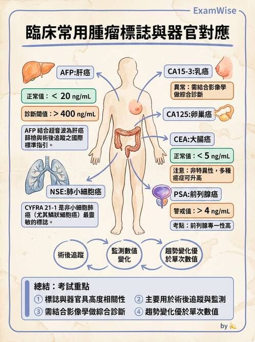 醫檢師 - 腫瘤標誌 - AI 圖文解析預覽