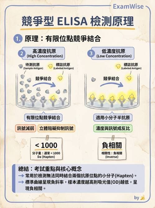 醫檢師 - 實驗室測試免疫法 - AI 圖文解析預覽