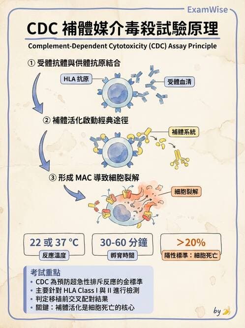 醫檢師 - 組織型與移植免疫學 - AI 圖文解析預覽