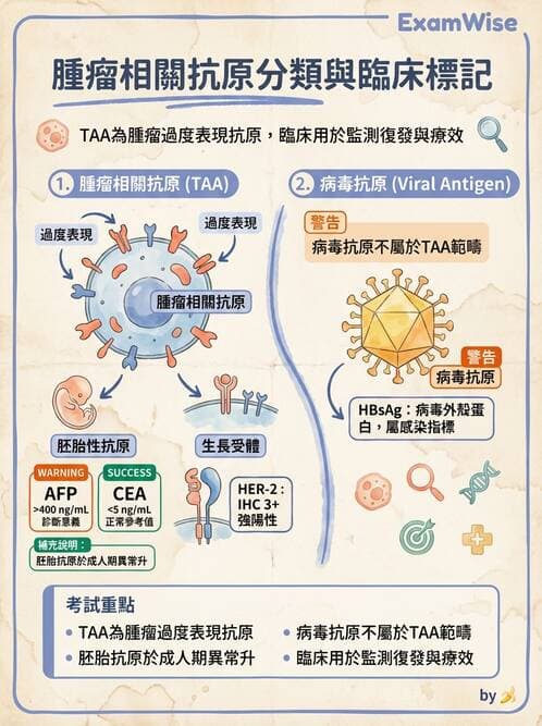 醫檢師 - 腫瘤免疫學免疫療法及疫苗 - AI 圖文解析預覽