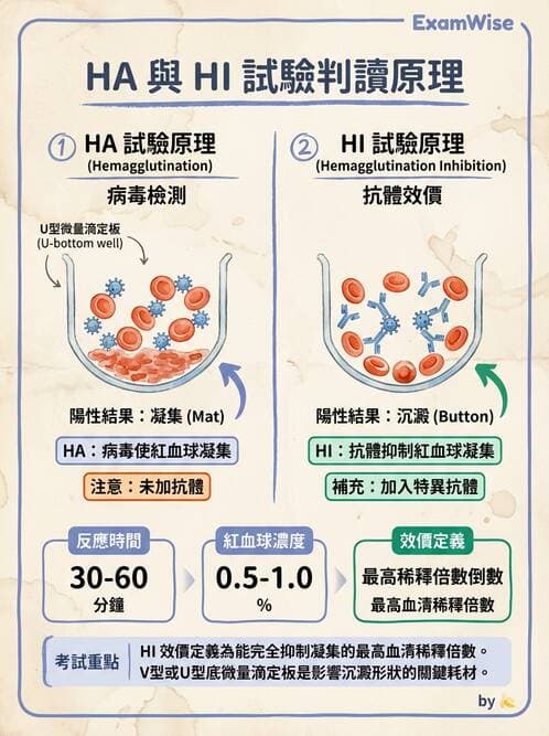 醫檢師 - 病毒檢驗技術 - AI 圖文解析預覽