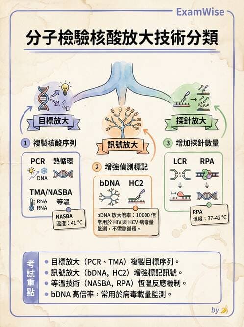 醫檢師 - 病毒檢驗技術 - AI 圖文解析預覽