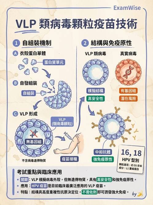 醫檢師 - 抗病毒藥物與疫苗通論 - AI 圖文解析預覽