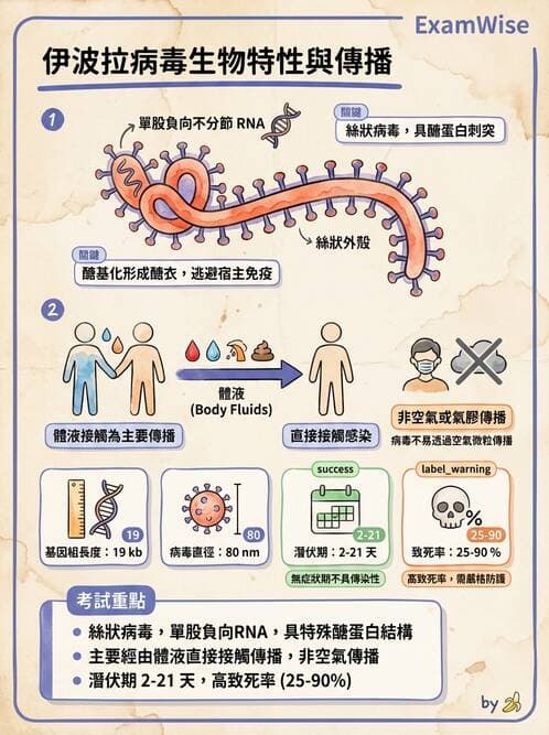 醫檢師 - 其他RNA病毒 - AI 圖文解析預覽