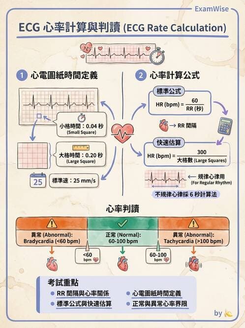 醫檢師 - 心電圖基礎與判讀 - AI 圖文解析預覽