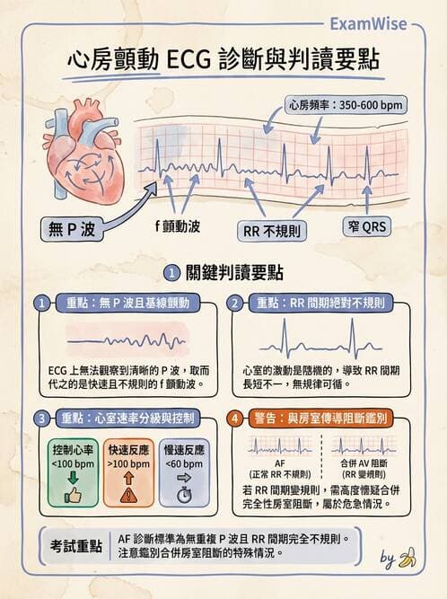 醫檢師 - 心律不整判讀 - AI 圖文解析預覽