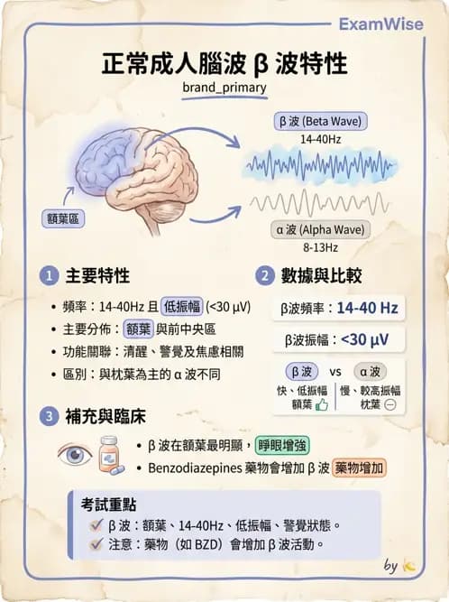 醫檢師 - 腦電圖檢查 - AI 圖文解析預覽