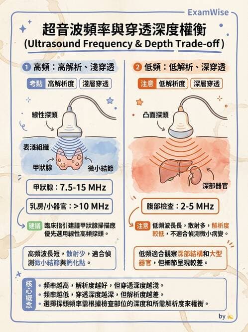 醫檢師 - 超音波檢查 - AI 圖文解析預覽