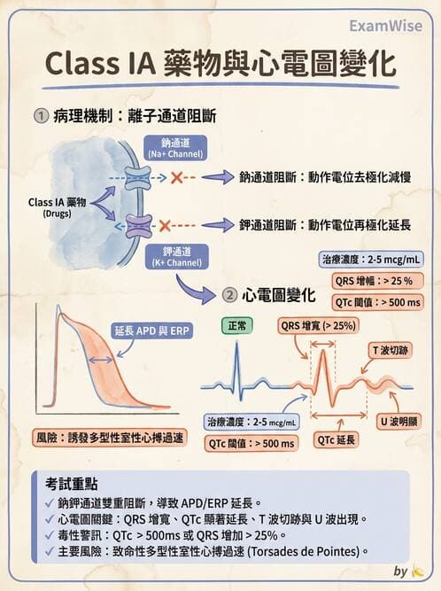 醫檢師 - 心肌病變與特殊心電圖 - AI 圖文解析預覽