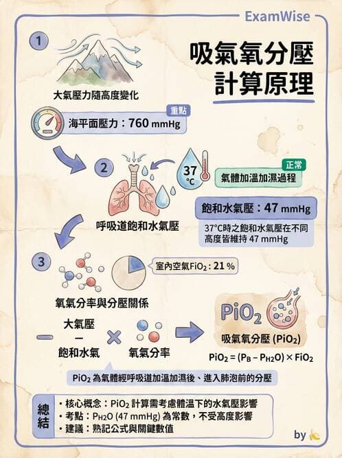 醫檢師 - 血液氣體分析 - AI 圖文解析預覽