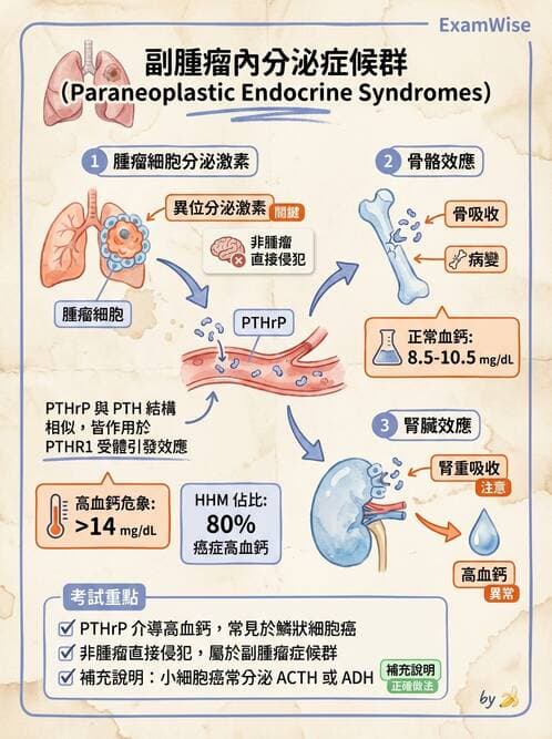 醫檢師 - 腫瘤概論 - AI 圖文解析預覽