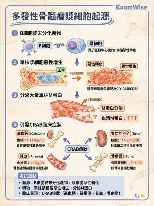 醫檢師 - 造血系統疾病 - AI 圖文解析預覽