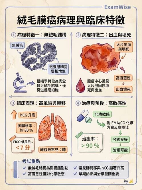 醫檢師 - 乳房及女性生殖疾病 - AI 圖文解析預覽