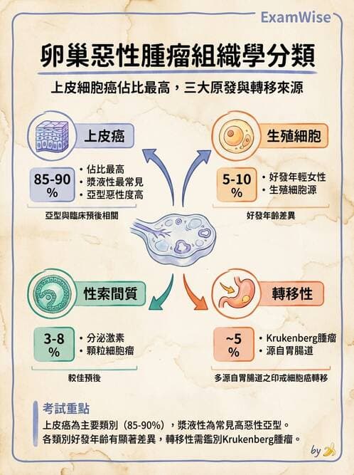 醫檢師 - 乳房及女性生殖疾病 - AI 圖文解析預覽