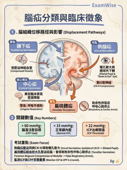 醫檢師 - 神經系統疾病 - AI 圖文解析預覽