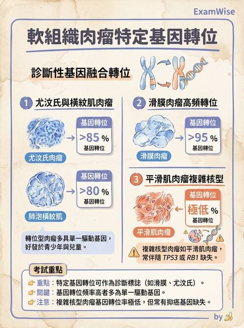 醫檢師 - 骨骼及軟組織疾病 - AI 圖文解析預覽