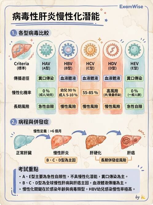 醫檢師 - 消化肝膽疾病 - AI 圖文解析預覽