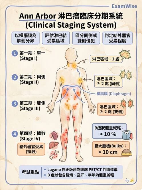 醫檢師 - 淋巴瘤、漿細胞疾病與白血球異常 - AI 圖文解析預覽