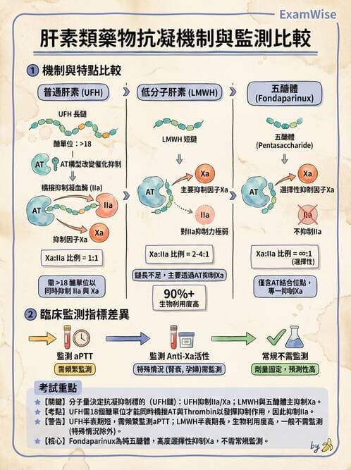 醫檢師 - 血栓性疾病與抗凝治療監測 - AI 圖文解析預覽