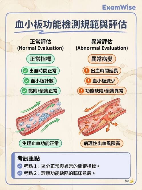 醫檢師 - 血小板與止血生理 - AI 圖文解析預覽