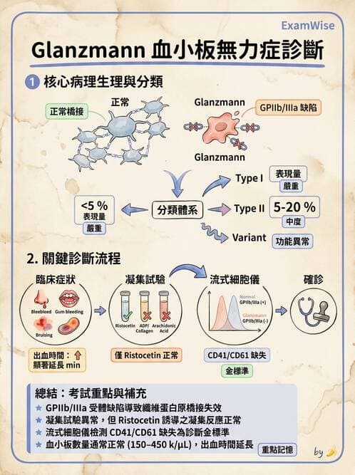 醫檢師 - 出血性疾病與檢驗 - AI 圖文解析預覽