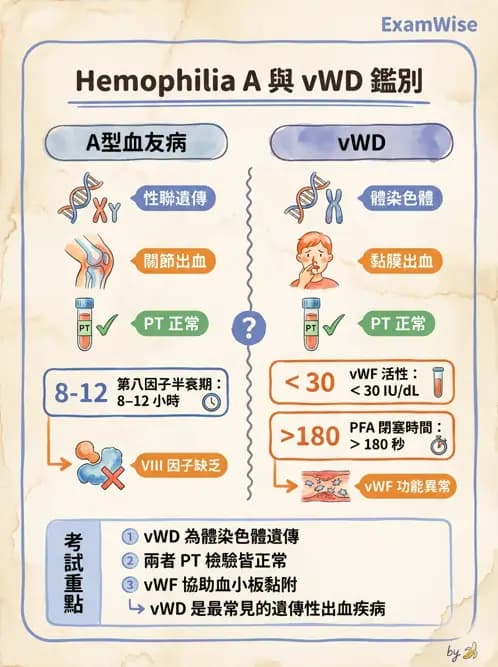醫檢師 - 出血性疾病與檢驗 - AI 圖文解析預覽