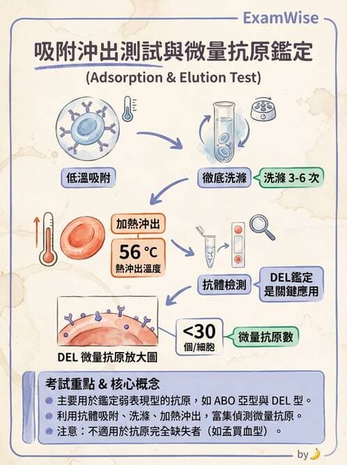 醫檢師 - 紅血球抗原與血型系統 - AI 圖文解析預覽