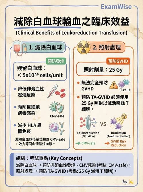 醫檢師 - 血液成分製備與輸血檢查 - AI 圖文解析預覽
