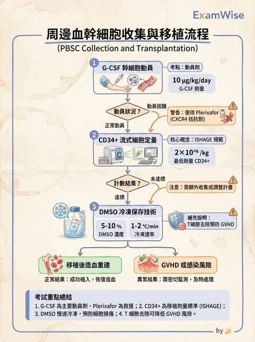醫檢師 - 血液成分製備與輸血檢查 - AI 圖文解析預覽