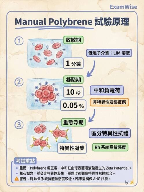 醫檢師 - 血液成分製備與輸血檢查 - AI 圖文解析預覽
