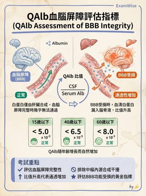 醫檢師 - 腦脊髓液檢查 - AI 圖文解析預覽