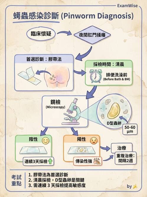 醫檢師 - 寄生蟲檢查-蠕蟲類 - AI 圖文解析預覽