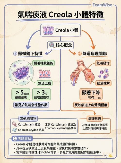 醫檢師 - 鏡檢綜合性試題 - AI 圖文解析預覽