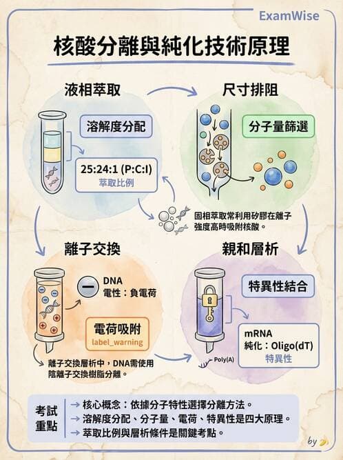 醫檢師 - 基礎分子生物學 - AI 圖文解析預覽