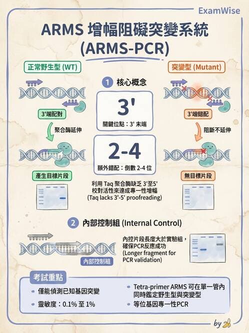 醫檢師 - 核酸擴增與萃取技術 - AI 圖文解析預覽